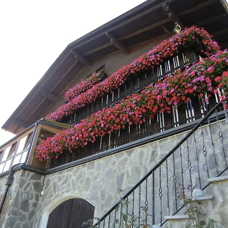 Hotel Alpenblick 3*